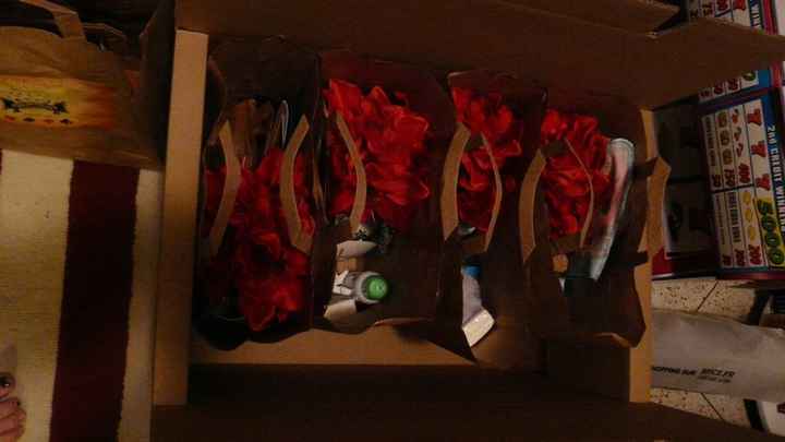 le carton des sacs témouines