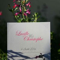 Photographe or not.... - 1