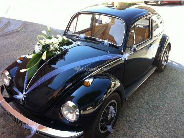 Coccinelle