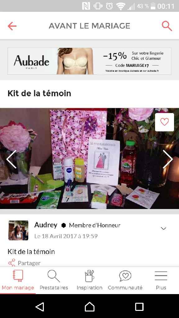 Kit témoin, besoin d'idées - 1