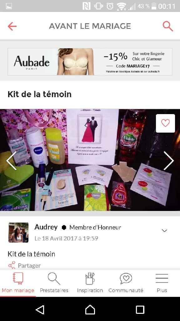 Kit témoin, besoin d'idées - 2