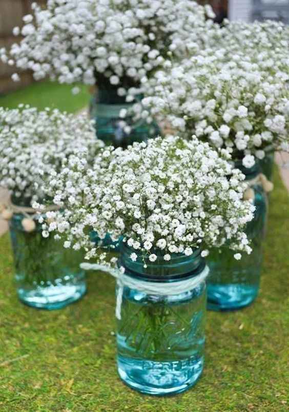 Gypsophile