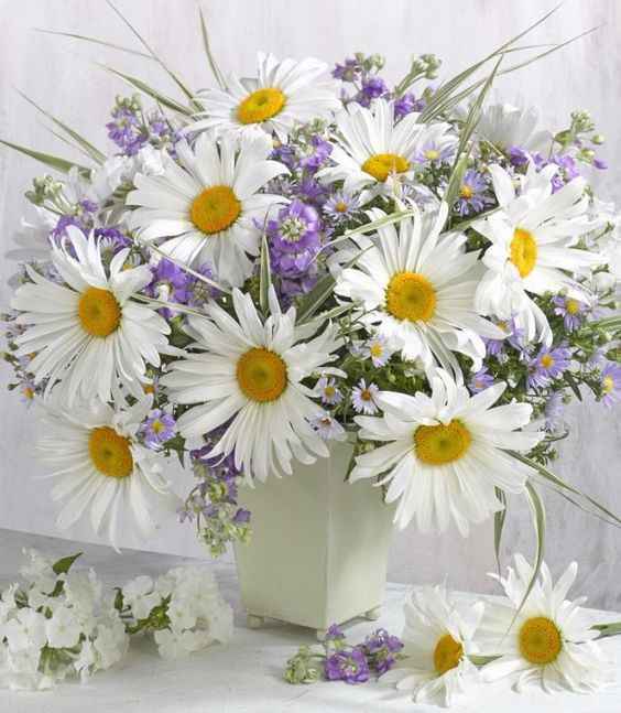 Marguerite