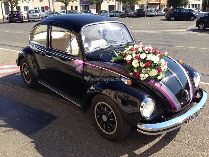Coccinelle