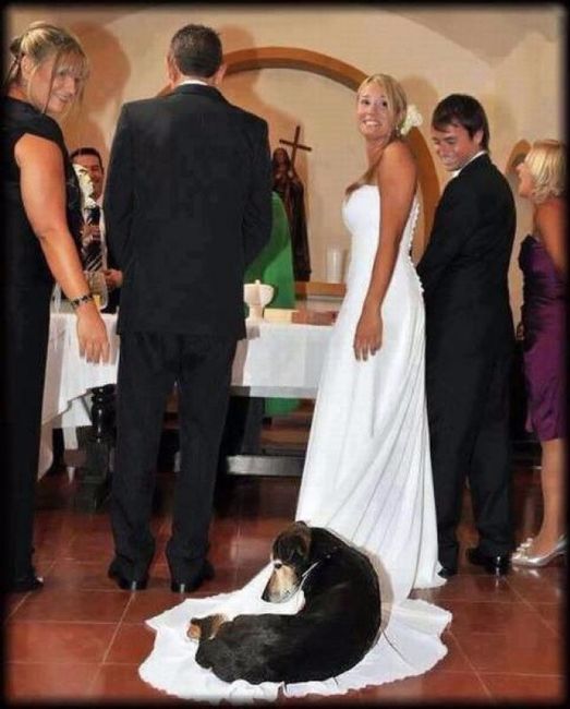Humour