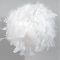 Boules de plumes