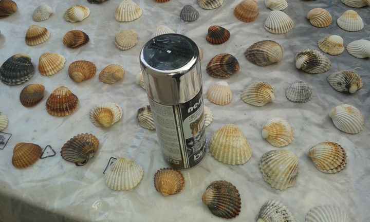 coquillage porte prenom