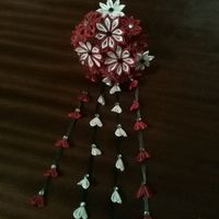 Vos accessoires de cheveux - 1