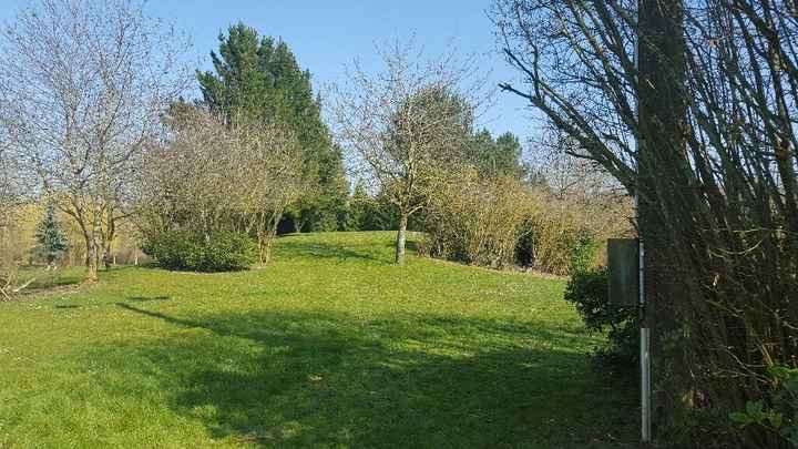 Lieu photos de couple - 1