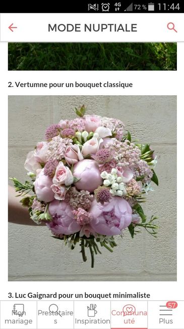 Aidez moi !!! choix du bouquet - 2