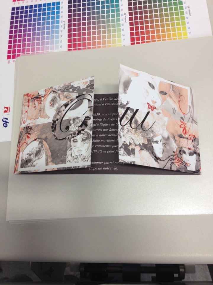 Nous nous marions le 10 Juin 2016 - Var - 1