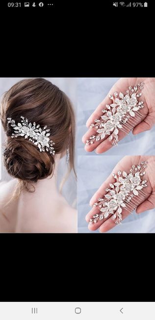 Peigne ou fleurs? 3