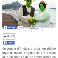 21 thÈmes de mariage qu'on aurait prÉfÉrÉ ne jamais voir!  en savoir plus sur http://www.pause-ton-c