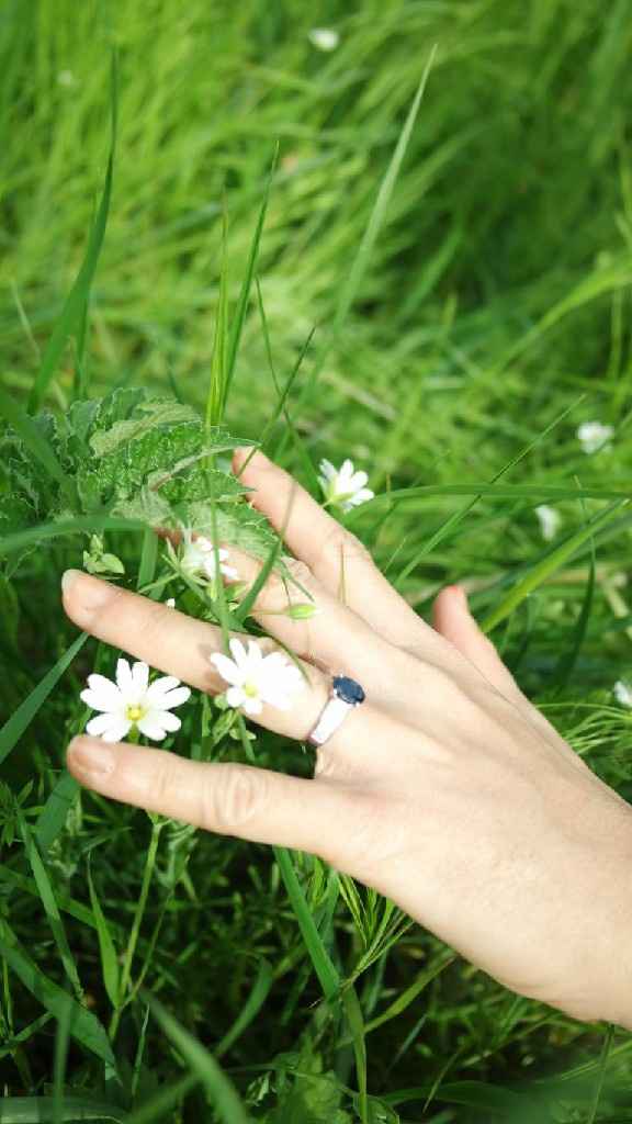 Bague de fiançailles - 1