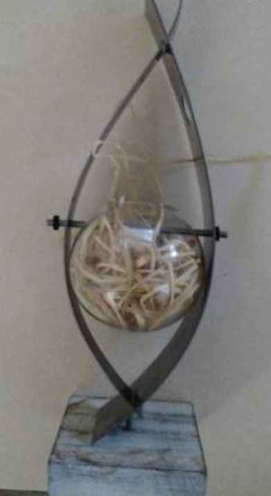 Photophore avis - 2