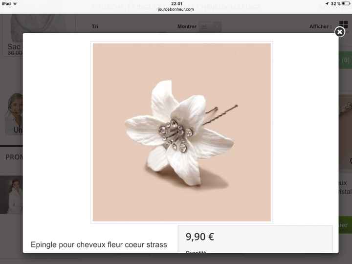 Avis sur accessoire de cheveux - 5