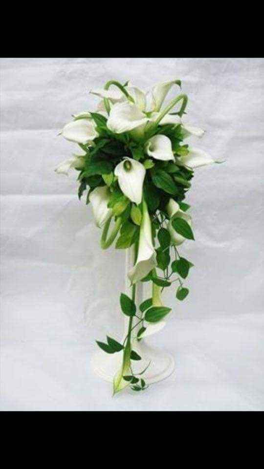 Je pense partir vers ce bouquet - 1