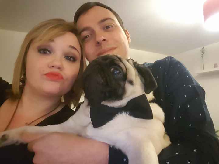  Nos animaux ont une place importante 💕 - 1