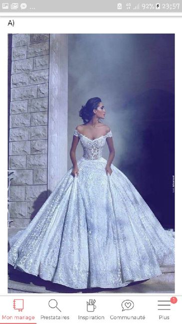 Choisis ta robe princesse coup de 💖 1