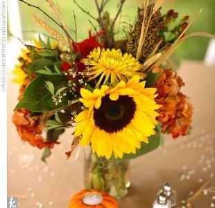 tournesol --- coquelicots