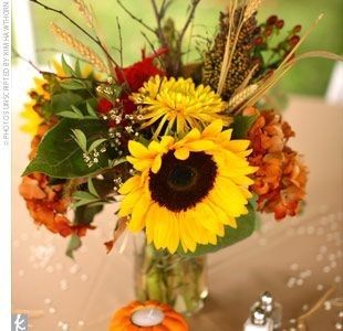 tournesol --- coquelicots