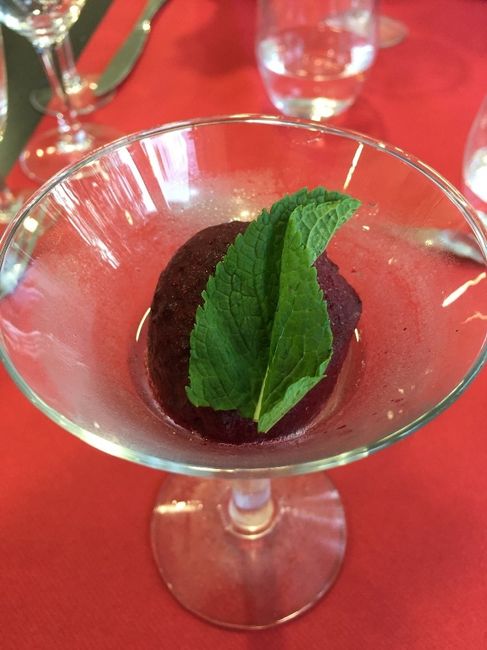 Repas de dégustation 