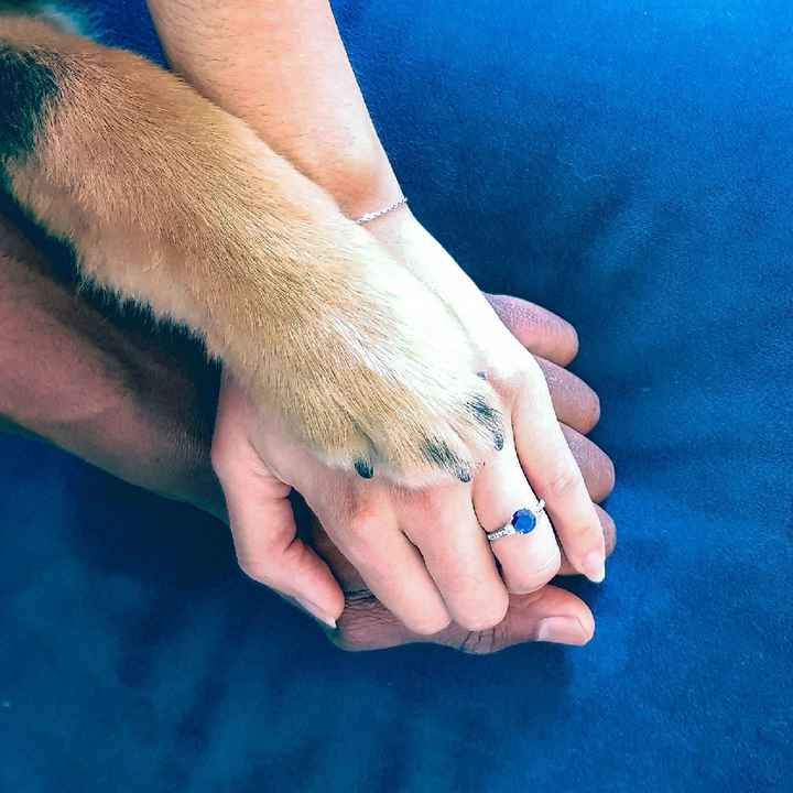 Une demande en mariage qui a du chien ! Vous dites oui ? - 1