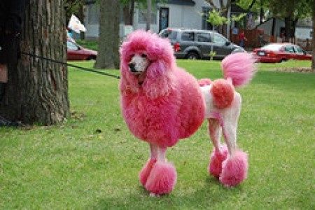 un cahiche moche pour une robe moche :p