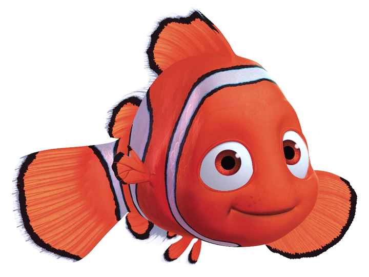 nemo le poisson