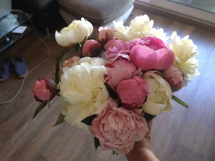 Les pivoines rapportées de notre visite chez le grossiste !