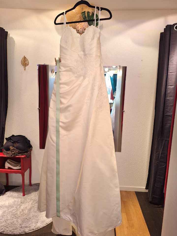 Vrai ou faux : couleur de la robe ? ✅❌ - 1