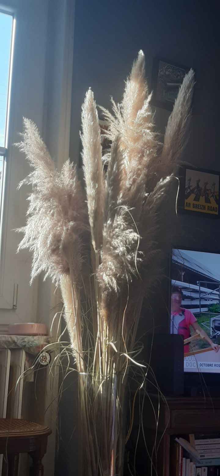 Alternative aux pampas - 1
