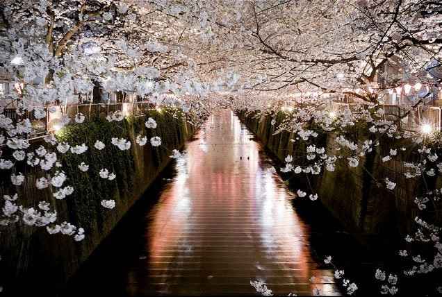 Japon