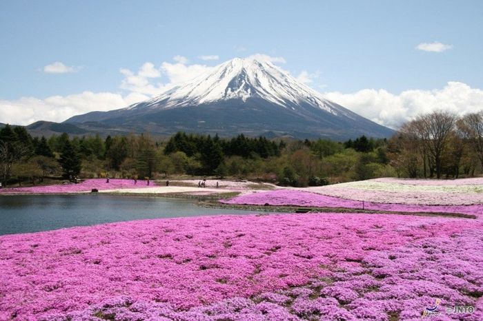 Japon