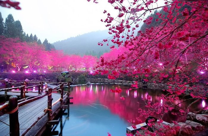 Japon