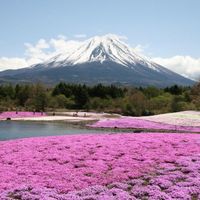 Japon
