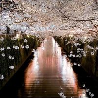 Japon