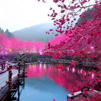 Japon
