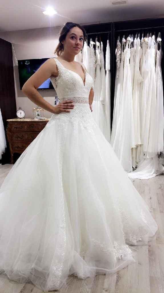 Collier ou pas de collier ? - 1