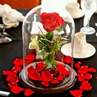 La Belle sous cloche