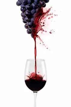 Vin         