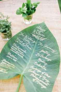 5. Le menu sur branche de palmier