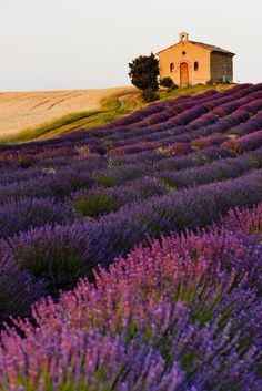 1. Escapade en Provence