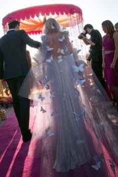 Voile