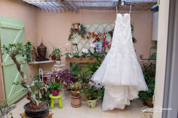 Le jardin de la belle mere