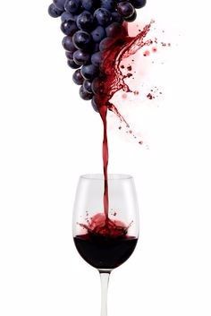 Vin         