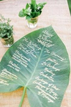 5. Le menu sur branche de palmier