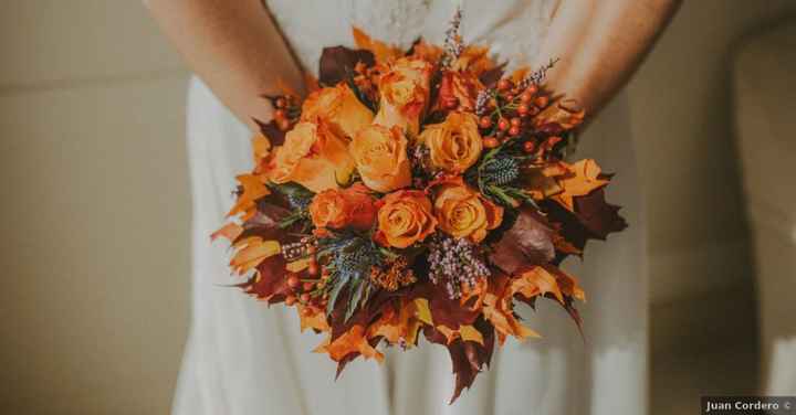C'est l'automne ! Découvre nos inspirations de la saison 🍂🌰 - 2