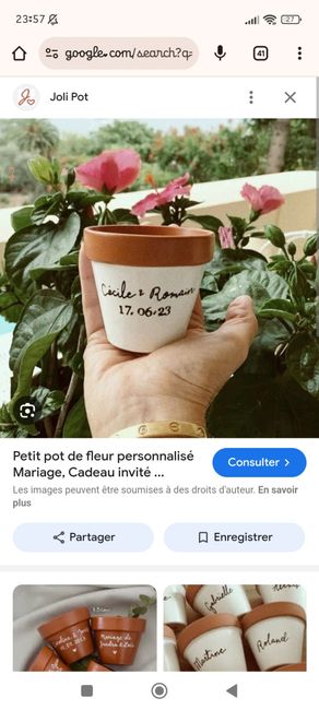 Fleurs coupées ou fleurs en pots - 2