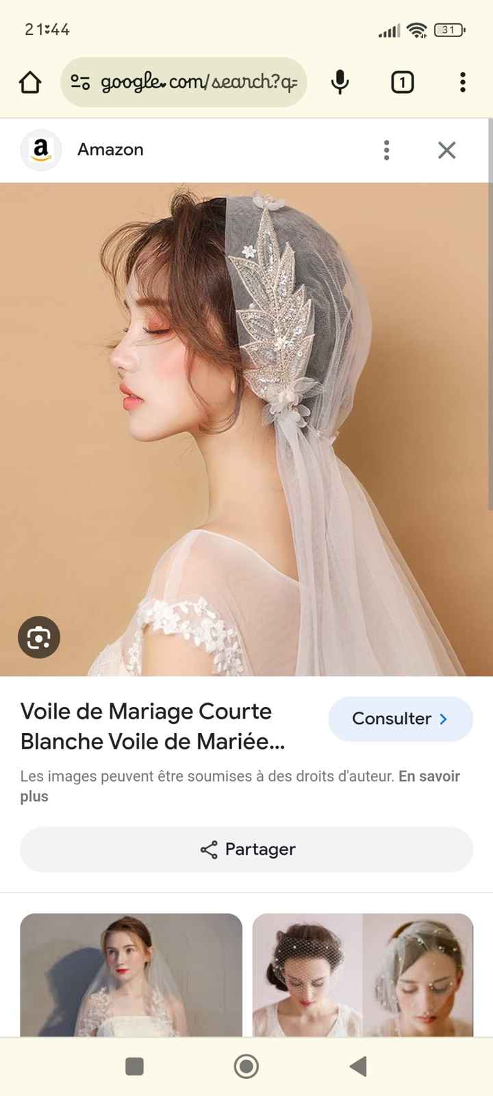 Voile ou pas ? - 4